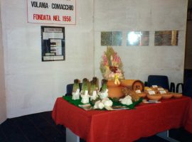 La casa Volania alla sagra dell asparago a Mesola 1994